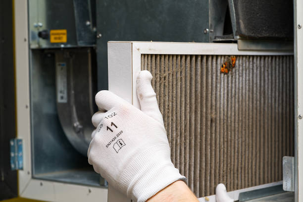 Best Duct Cleaning for Offices  in Shady Shores, TX