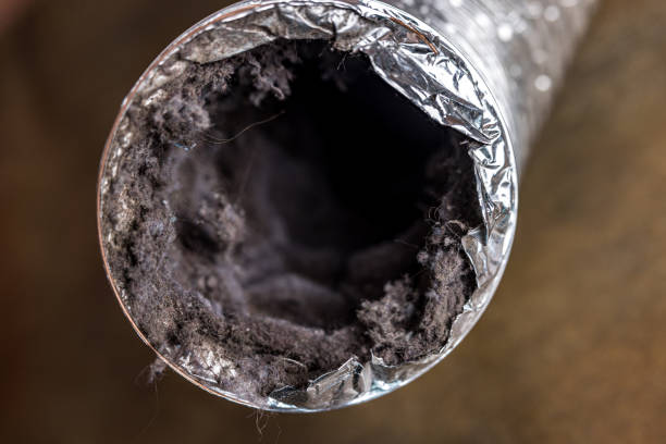 Best HVAC Air Duct Cleaning  in Shady Shores, TX